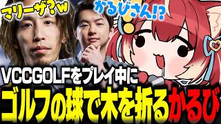 ゴルフで木は折るものだと認識しているかるびにツッコミを入れる釈迦とゆうがｗｗ【赤見かるび切り抜き 釈迦 Sasatikk VCCGOLF】