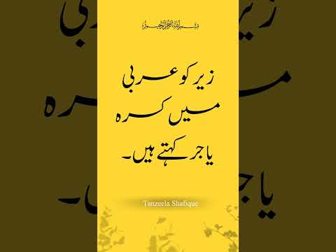 Zair | Kasra | Harakat ul Qur'an #youtubeshorts #ytshort