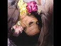 Antony and the Johnsons  Aeon Audio