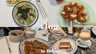 【vlog】韓国人夫の為に少しずつ成長していく韓国料理🍳美味しすぎる干し柿デザート🟠