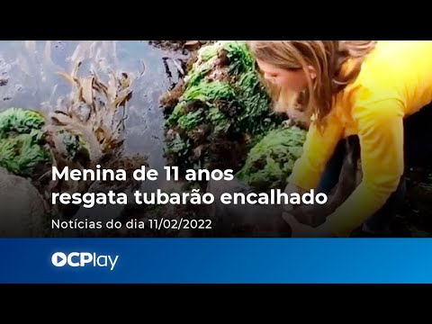 Menina de 11 anos resgata tubarão encalhado