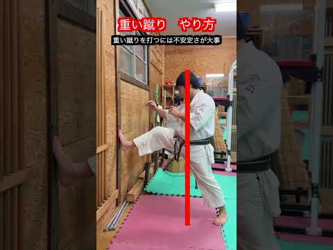 【武道・格闘技】重い蹴りを蹴るための考え方と方法！！　#aikido ＃karate #martial #武道 ＃#空手＃合気道＃筋トレ#selfdefens