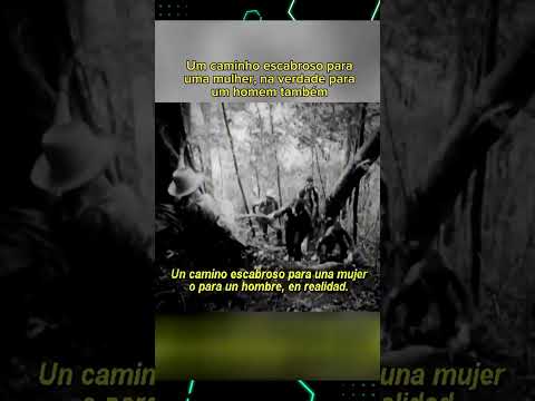 Fidel Castro en la Sierra Maestra