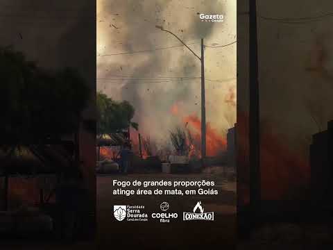 Fogo de grandes proporções atinge área de mata, em Goiás