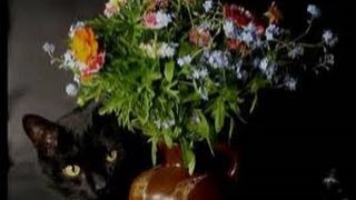 Flowers For You ❤❤ Happy Love Day ❣