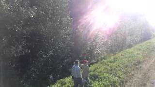 Idiot people endanger themselves with in 20 feet of sow and