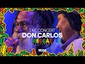 Don Carlos Iconic Performance In Reggae Rotterdam Festival Featuring Surprise Proposal