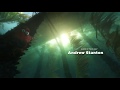 Finding Dory End Scene