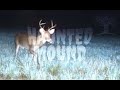 HAUNTED MOUND WINTER MIX 2024 SEMATARY GHOST MOUNTAIN HACKLE BUCKSHOT