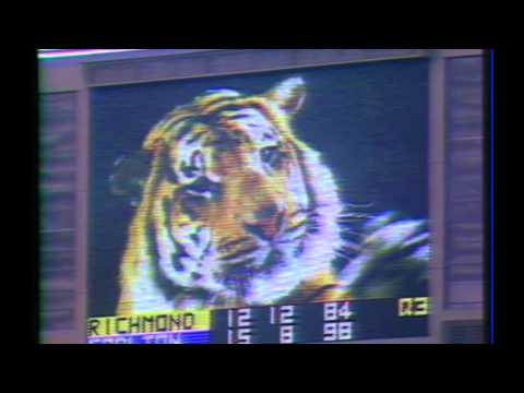 Three quarter time break and exclusive vision of MCG members section 1984 round 5