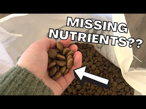 Nutro Natural Choice Dog Food Review (Watch BEFORE You Buy!)
