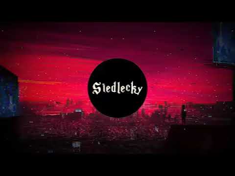 Denztrix & Siedlecky - Path Supreme