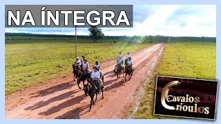 Miniatura do vídeo