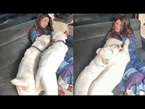 Daisy Shah Playing With Dongs, Must Watch Daisy’s Pet Love | FWF