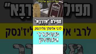 הילולת רבי אלימלך מליז'נסק - תפילת אדרבא שיר מצמרר #singing #status #news #ישראל
