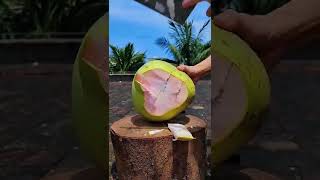 Pink Coconut #shorts #fruit #water