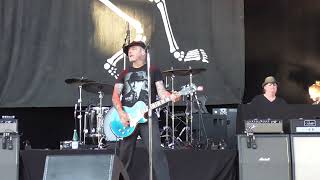 Social Distortion  - She&#39;s a Knockout