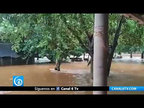 Video: Huracán Lidia deja afectaciones en Michoacán