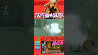 若き男女のウッドハウス篇【ブレワイ転生縛り】 #セナ #ゼルダの伝説