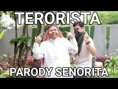 parody-senorita