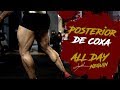 Treino Pesado - Posterior de Coxas - Jorlan Like a PRO