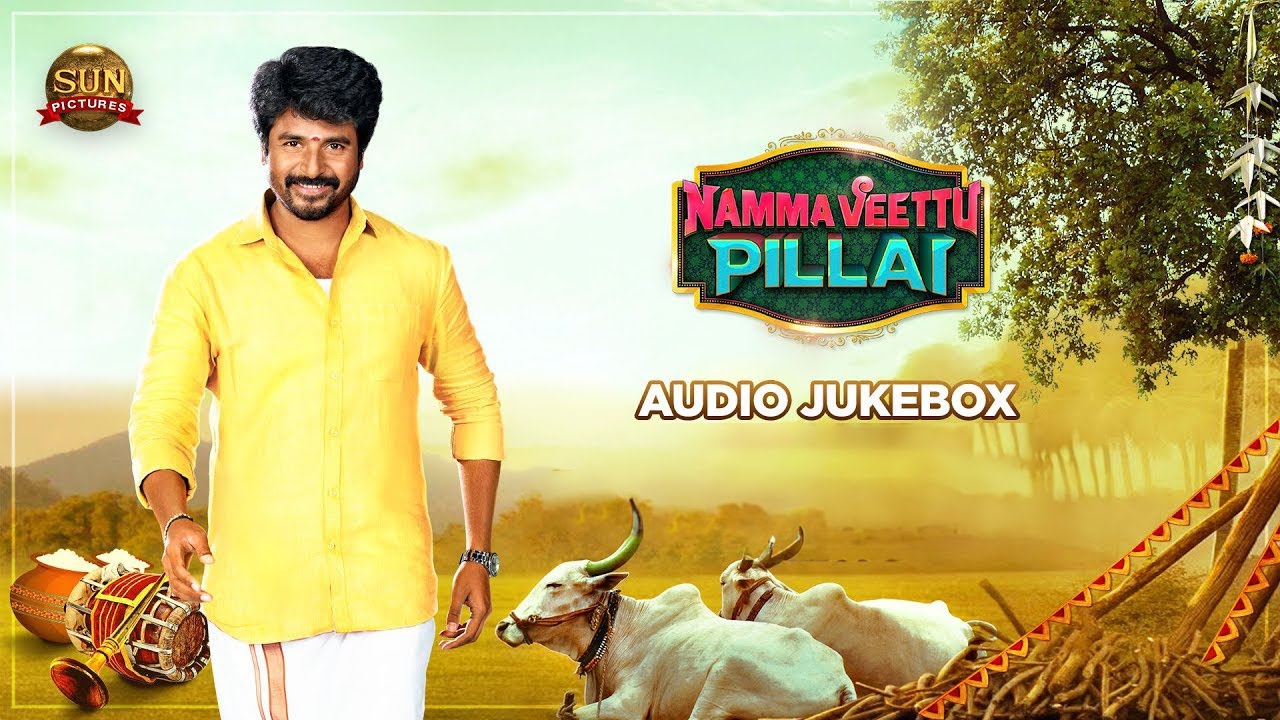 Namma Veettu Pillai Theme Lyrics | Namma Veettu Pillai | Aishwarya Rajesh | D.Imman | D.Imman
