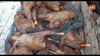Ouagadougou : une importante quantité de poulet impropre à la consommation saisie