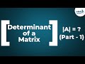 Matrices Determinant Of A Matrix Part 1 Don T Memorise