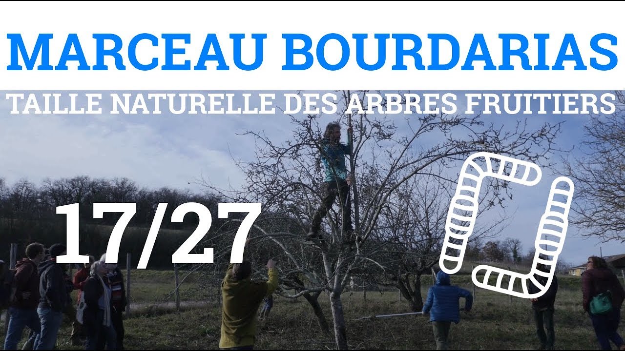 17/27 - M.BOURDARIAS - Taille Naturelle des Arbres Fruitiers - Coupe des Branches