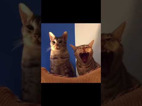 Nonstandard deviation