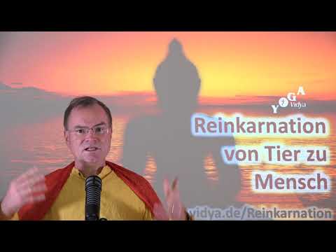 Reinkarnation von Tier zu Mensch