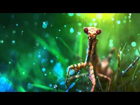 Thomas Woodham (روح) - Mutlaq [Psy]