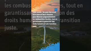 COP30 : Enjeux de la conférence sur le climat 
