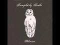 Victory by Trampled By Turtles