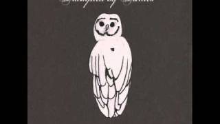 Victory by Trampled By Turtles