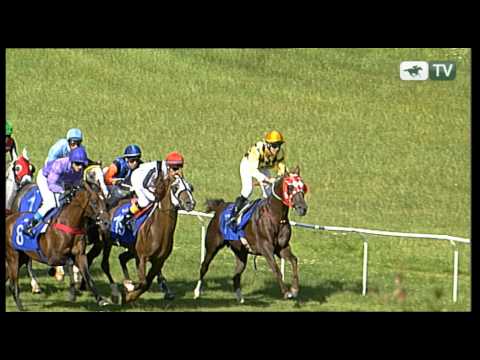 22.07.2012 (D25;G5;DERBY ARABSKIE; tor: 2,6; 21°C)