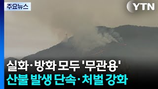 실화·방화 모두 '무관용'...산불 발생 단속·처벌 강화 / YTN