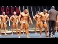 Kuwait classic under 90kg | pro qualifier | bodybuilding