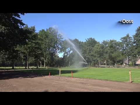Zwolle kapt opnieuw zieke essen in de strijd tegen schimmelziekte