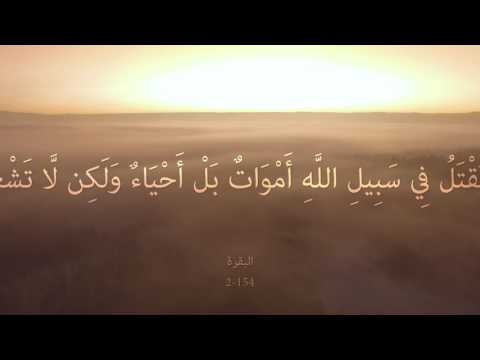 002_154 Al-Baqara "The Cow" البقرة