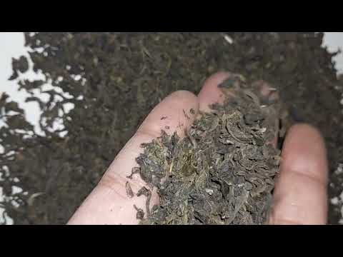 Classic Green Tea
