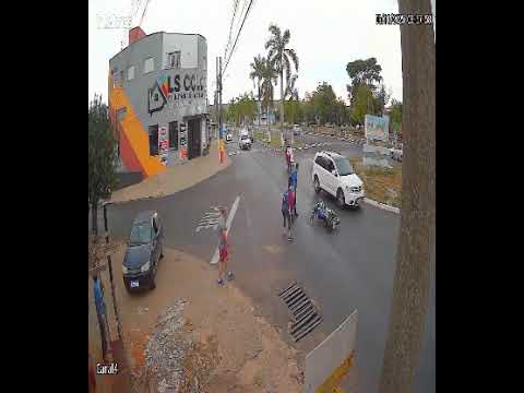 trevo estiva Gerbi sp