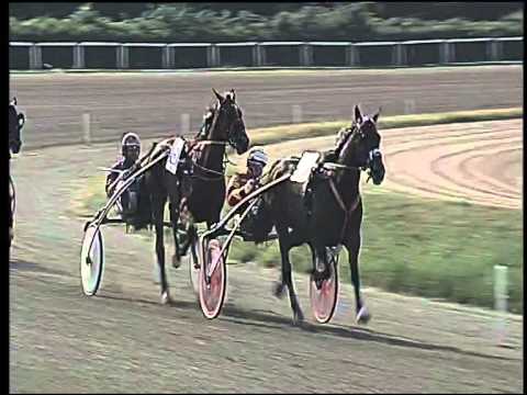 Trotto 14/06/2015 - 6° corsa