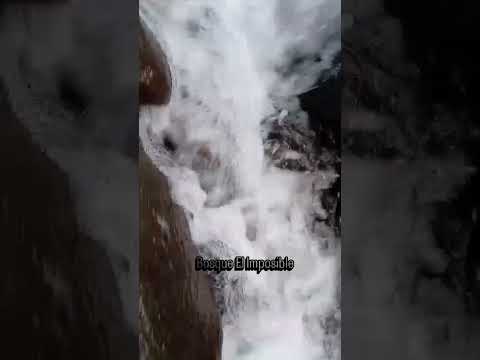 Parque Nacional El Imposible San Francisco Menéndez Ahuachapán #fypシ #fypシ゚viral