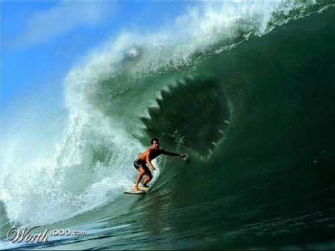 AQUA VELVETS - Surf Nouveau