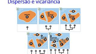 34 - Conceitos básicos (Dispersão e Vicariância)