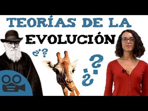 Theories of the evolution of species (Lamarck, Darwin, etc.)