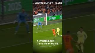 サッカーオランダ代表は倒します【スズキタゴサグ】