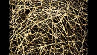 Sanitorium Blues   The Walkabouts