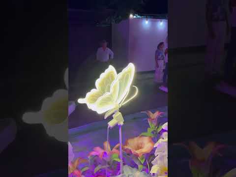 El alumbrado más lindo en Navidad está en Pore Casanare #findeaño #navidad #amor #pueblitos